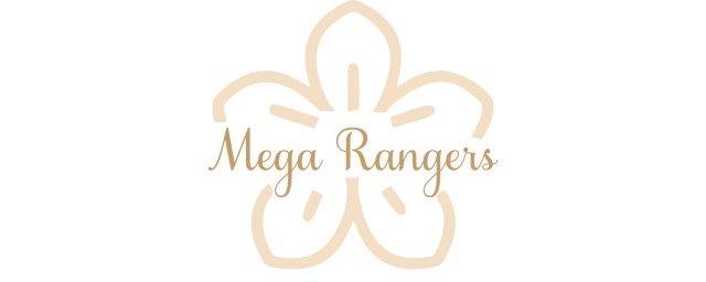MEGA RANGERS - Atacado Moda Feminina Brás online 