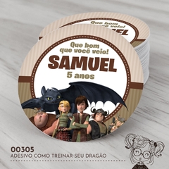 Adesivo Personalizado Como Treinar seu Dragão - 00305