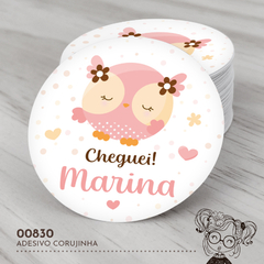 Adesivo Corujinha - 00830