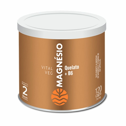 Vit Veg Magnésio Vital Âtman 120 Caps