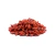 Gojiberry Desidratado 100g