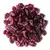 Cranberry Desidratado 100g