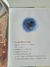 Livro Maria's Comet - loja online