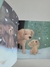 Livro Little Puppy Lost - comprar online