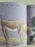 Livro Vira-Lata e Pá-Virada - comprar online