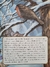 Livro Aslan - The World of Narnia