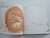 Livro If You See a Kitten - loja online