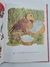 Coleção Tesouro da Literatura Infantil - Angelotti 4 Volumes