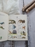 Coleção Minha Primeira Enciclopédia - Livro Dourado Infantil, Edição Especial 5 Volumes - comprar online