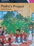 Livro Pedro's Project