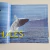Livro Oceans - National Geographic Society na internet