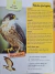Livro Meu Livro Gigante da Natureza - ReConto Livraria