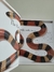 Livro The Snake, A Breathtaking Close-up Look At Splendid, Scaly, Slithery Snakes - Um Livro Dorling Kindersley (DK) na internet