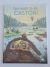 Livro Bem-Vindo ao Lar, Castor!