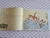 Livro Leonardo - Companhia das Letrinhas - ReConto Livraria