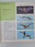 Coleção Os Bichos, Abril Cultural - 5 Volumes, 1° edição, 1971 Capa Branca