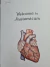 Livro Anatomicum, Welcome to the Museum - Junior Edition BPP - comprar online