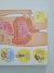 Imagem do Livro Corpo Humano, O - Abra e descubra! Usborne