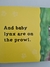 Livro Babies! - Farcountry, Cartonado - ReConto Livraria