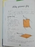 Livro Championship Paper Planes - comprar online