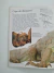 Livro Dinossauros - Coleção Aventura Visual DK Capa Comum (Globo) na internet