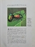 Livro INSECTS - A portrait of the animal world - comprar online