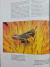 Livro INSECTS - A portrait of the animal world na internet