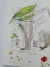 Livro Ismael e Chopin - loja online