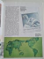 Livro The Giant Book Of Dinosaurs - loja online