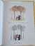 Imagem do Livro The Bear And The Piano