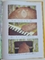 Livro The Bear And The Piano - comprar online