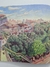Livro Meu Jardim Secreto - FTD - comprar online