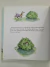 Livro Nothing Sticks Like a Shadow - Ann Tompert na internet