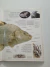 Livro Peixes - Coleção Aventura Visual DK Capa Dura (Globo)
