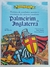 Livro Palmeirim de Inglaterra