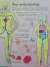 Livro See inside Your Body - Usborne - comprar online