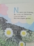 Livro O Segredo da Lagartixa - comprar online