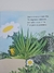 Livro O Segredo da Lagartixa - loja online