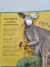 Livro Wonderful Animals of Australia - A National Geographic Action Book - comprar online