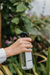 HOME SPRAY MALDIVAS - loja online