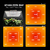 Luces de cultivo SPIDER FARMER - 100W SF1000 Samsung LM301H EVO LEDs. - VIDA CULTIVA