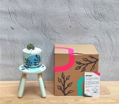 Kit mini sandy: Cielo