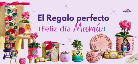 Imagen del carrusel Floramarillo
