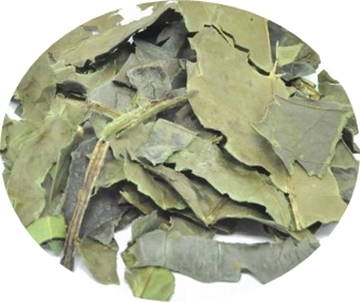 Chá verde em folhas kg
