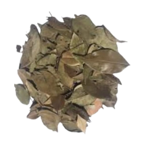 Chá de insulina folha Kg