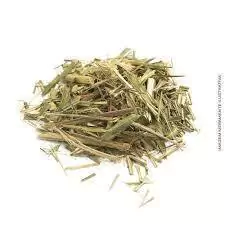 Chá erva cidreira pc 30g