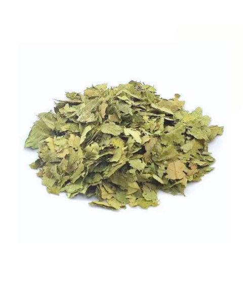 Graviola folha 30g