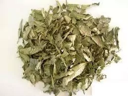 Chá espinheira santa kg