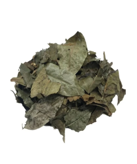 Chá Guaçatonga folha 30g