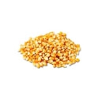 Milho de pipoca especial kg